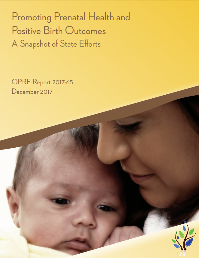 Promoting Prenatal Health and Positive Birth A Snapshot of