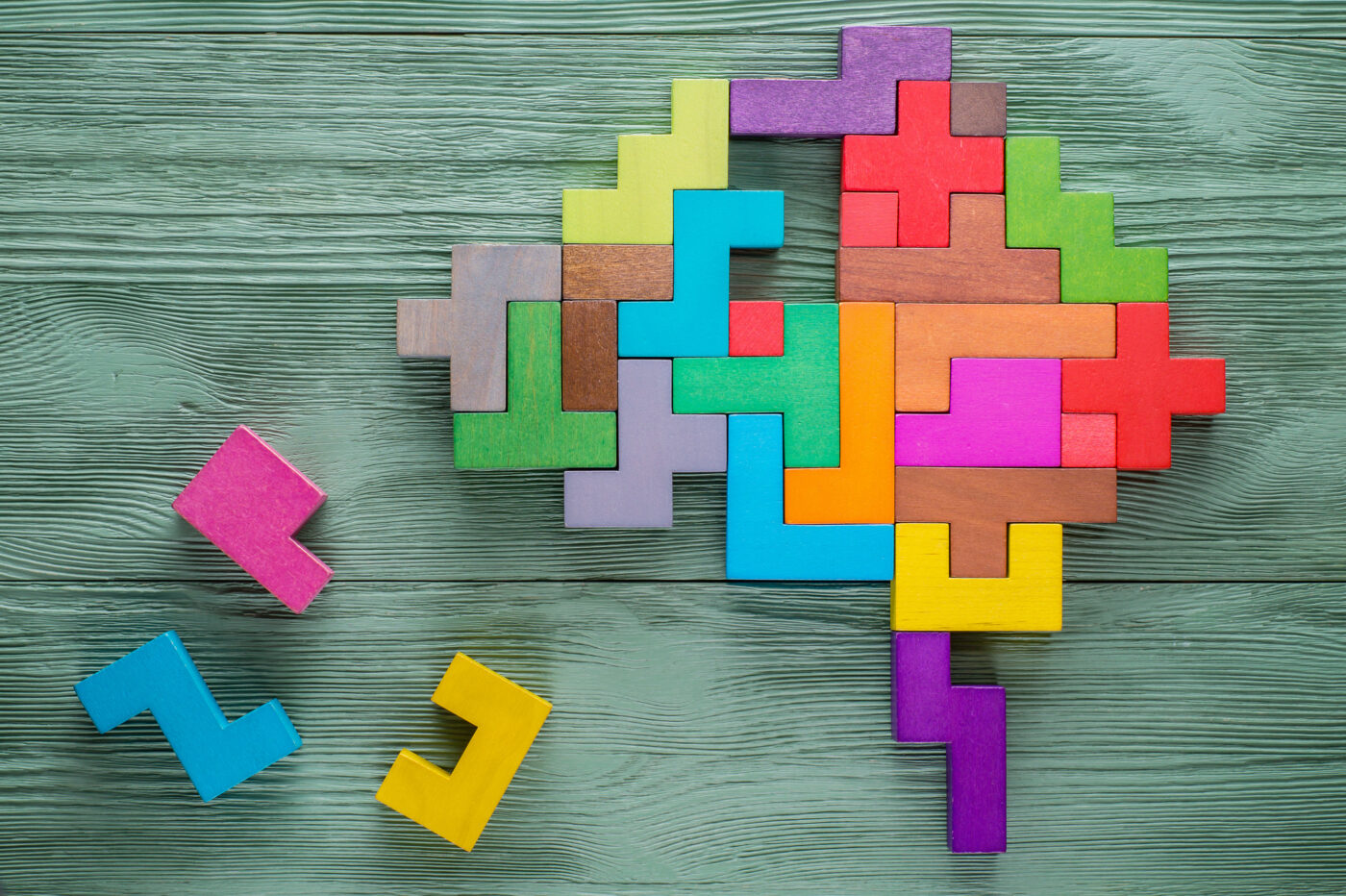 Human brain is made of multicolored wooden blocks. James Bell Associates James Bell Associates