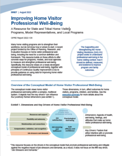 Cover of Improving Home Visitor Professional Well-Being brief