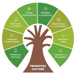 Illustration of a tree with the label promotive factors in the trunk. Eight pieces of the framework surround the trunk designed to look like leaves of a tree. From the bottom left to bottom right, those sections read, workforce pathways, adequate compensation, resources and support, career advancement, flexibility and autonomy, relationships and connections, workforce voice, and validation and recognition.